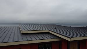 Best Hot Roofs  in Snohomish, WA